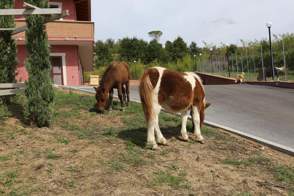 Agriturismo Ciociaro " Il Colle " Hotel Ristorante Ceprano Luaran gambar
